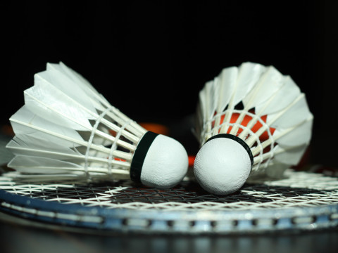 Badminton Shuttlecock